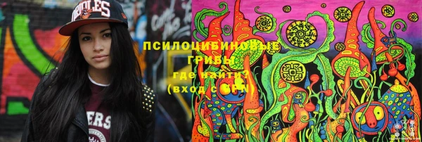 2c-b Алзамай