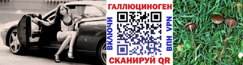 Псилоцибиновые грибы мухоморы магазин продажи наркотиков Катав-Ивановск